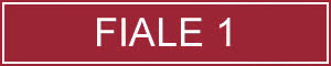 HAIRDERM FIALE 1