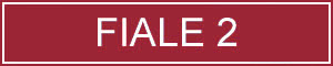 HAIRDERM FIALE 2